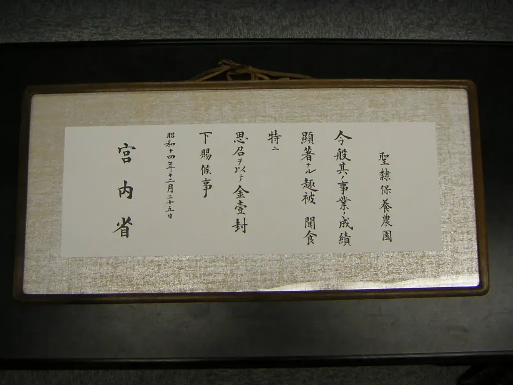 甲子園初出場 聖隷クリストファー高校と聖隷福祉事業団 画像 2