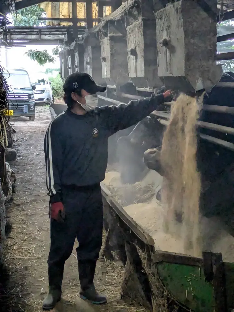 所沢高校の生徒有志が“幻のブランド牛”を守る!所沢牛の飼育・直売に地域ぐるみで挑戦 画像 5