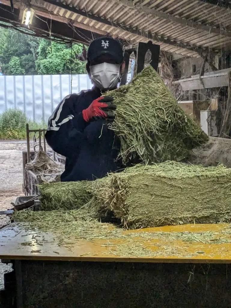 所沢高校の生徒有志が“幻のブランド牛”を守る！所沢牛の飼育・直売に地域ぐるみで挑戦 画像 6