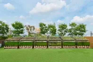 【イベントレポート】循環型屋上ファーム「AGRIKO FARM PW 桜新町」とプレミアムウォーターが共同開催!オリジナルアクアポニックス作成体験ができる「親子で体験SDGsイベント」 画像 3