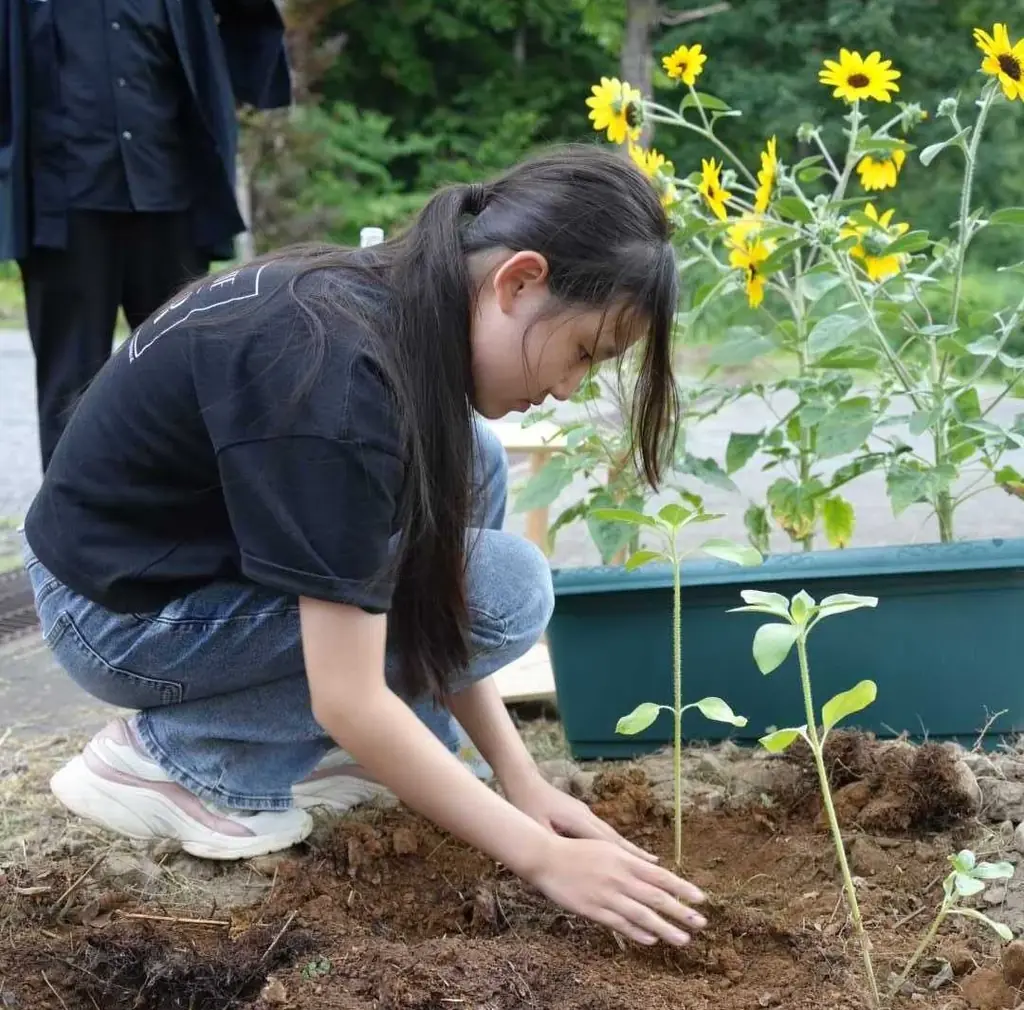 津南醸造は、来場者とひまわりを植える植栽イベントを開催しました 画像 2