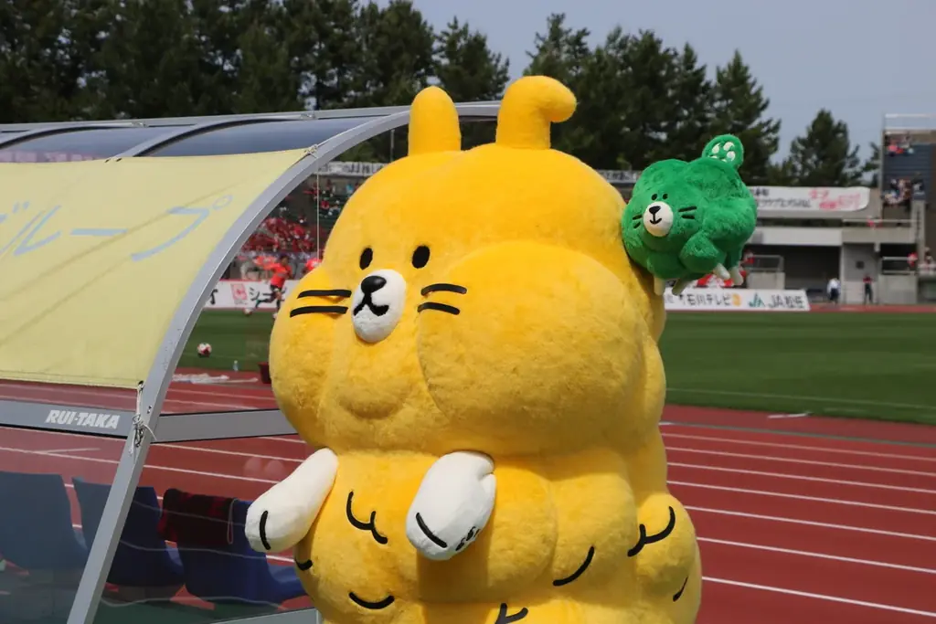 【8/30(土)鳥取戦】金沢エナジースペシャルマッチ開催！ 画像 4