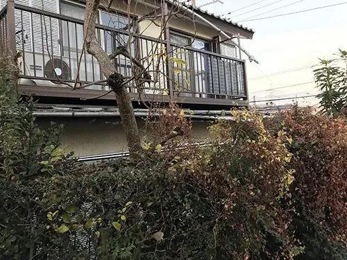 空き家投資の醍醐味「空き家・古家物件見学ツアーin江戸川エリア」8月23日(土)12:00 ~開催 画像 3