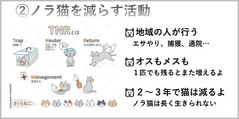 外国ルーツの子供たち向けに「猫の飼い方教室」を開催！ 画像 3