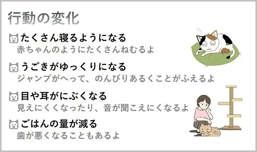 外国ルーツの子供たち向けに「猫の飼い方教室」を開催！ 画像 4