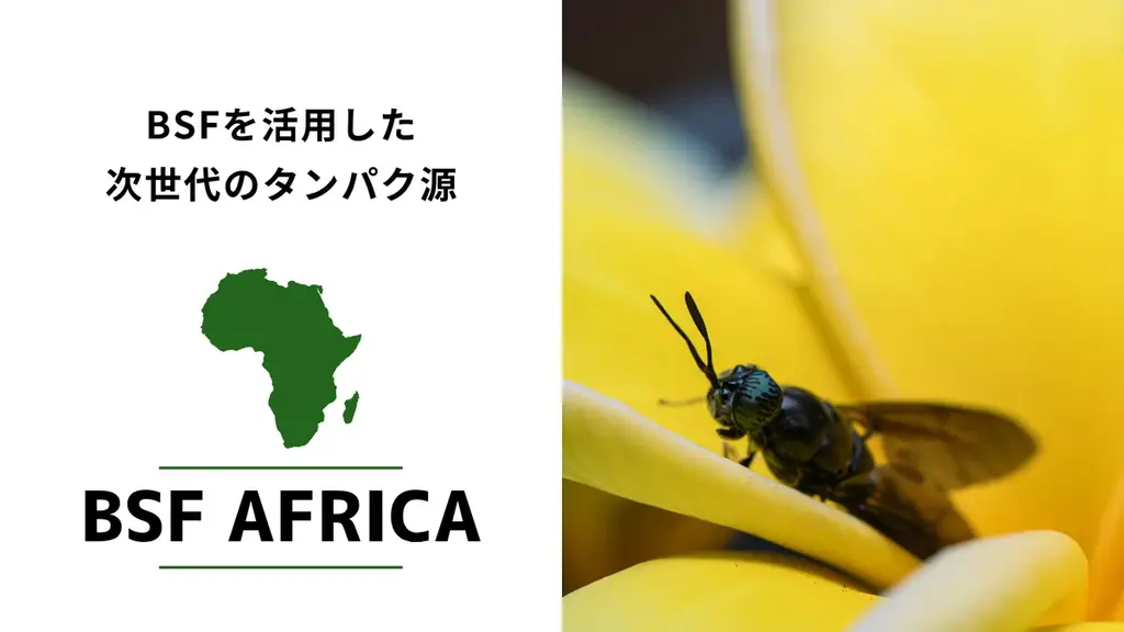 IVS2025|CAMPFIRE ピッチコンテスト『Top Gun FUND』で最優秀賞を受賞した「BSF AFRICA」、アフリカから昆虫プロテインで食糧危機に挑むクラウドファンディングに挑戦 画像 2