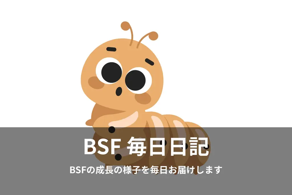 IVS2025|CAMPFIRE ピッチコンテスト『Top Gun FUND』で最優秀賞を受賞した「BSF AFRICA」、アフリカから昆虫プロテインで食糧危機に挑むクラウドファンディングに挑戦 画像 4