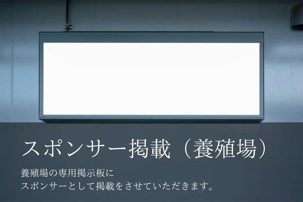 IVS2025｜CAMPFIRE ピッチコンテスト『Top Gun FUND』で最優秀賞を受賞した「BSF AFRICA」、アフリカから昆虫プロテインで食糧危機に挑むクラウドファンディングに挑戦 画像 5