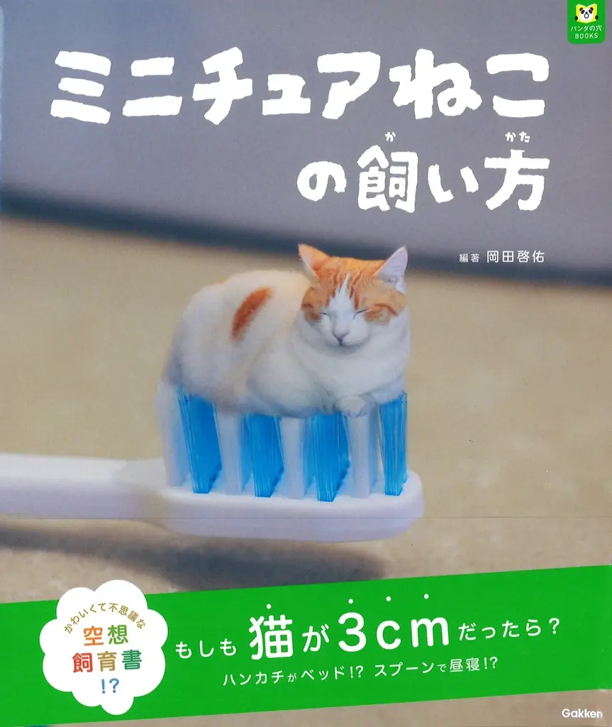 2025年8月1日発売「ミニチュアねこの飼い方」書籍の魅力