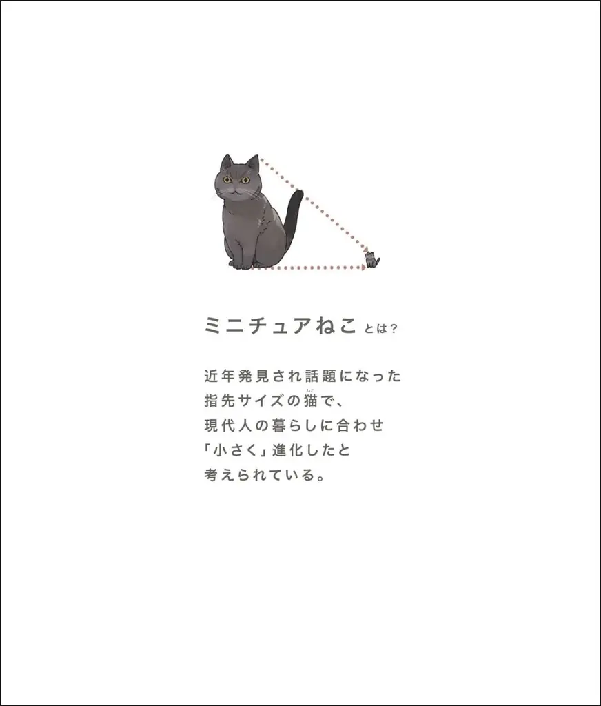 【ガチャでも人気のちっちゃな猫!】「パンダの穴BOOKS」第1作目、『ミニチュアねこの飼い方』発売!! 画像 2