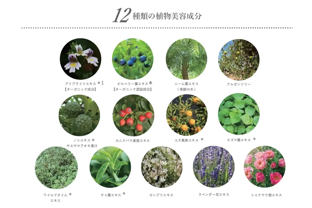 苦手な眉を描くのが好きになる！簡単、綺麗、自然な仕上がりを叶えるアイブロウペンシル＆パウダーが、9月2日［火］よりAINOKI公式HP、インスタグラムにて発売開始！ 画像 17