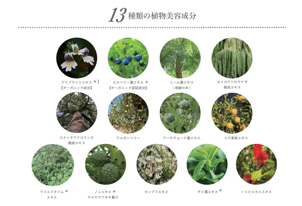 苦手な眉を描くのが好きになる！簡単、綺麗、自然な仕上がりを叶えるアイブロウペンシル＆パウダーが、9月2日［火］よりAINOKI公式HP、インスタグラムにて発売開始！ 画像 9