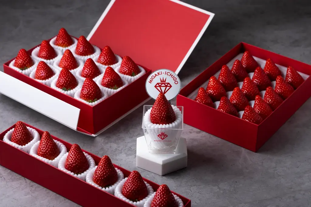 マイナビ農業、Plan・Do・Seeと持続可能な農業に向けて3社連携協定を締結 画像 7