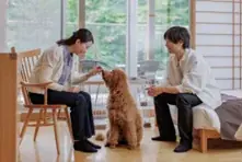 【休日いぬ部×亀の井ホテル特別企画】愛犬との旅行をもっと身近に。抽選で7組に無料宿泊券をプレゼント！ 画像 2