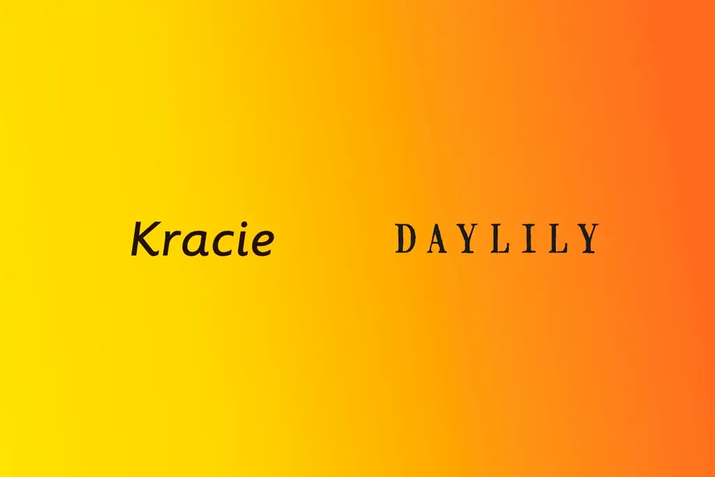 DAYLILY、クラシエ株式会社へグループインのお知らせ 画像 2