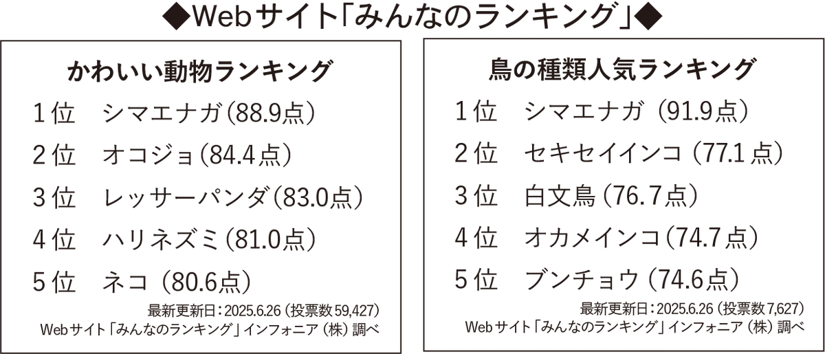 ぷるぷるプリンで“雪の妖精”シマエナガを表現北海道産牛乳を使用の「シマエナガみるくぷりん」8月4日(月)より北海道限定で新発売 画像 2