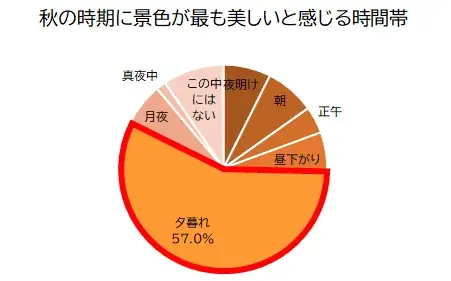 導入美容液配合の「いち髪 THE PREMIUM 」 から シャンプー＆トリートメント「In autumn , the evenings 秋は夕暮れ 。」数量限定発売！ 画像 7