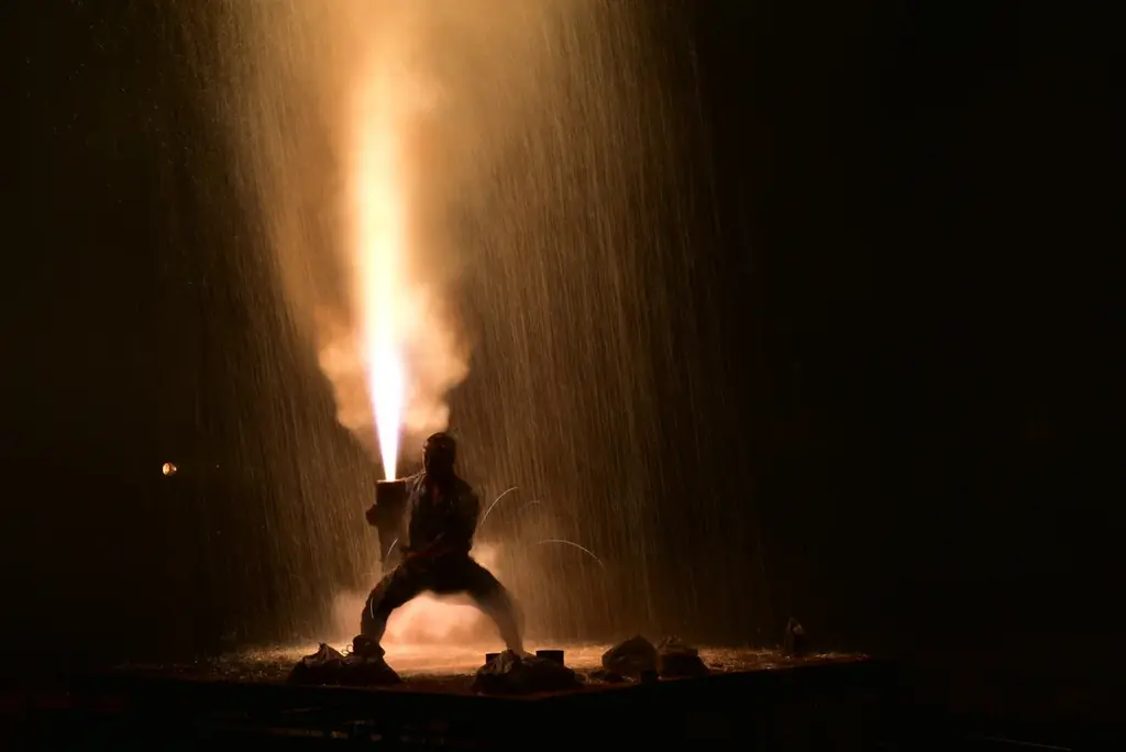 【飛騨高山・岐阜県高山市】火の粉が舞う勇壮な伝統！ 画像 2