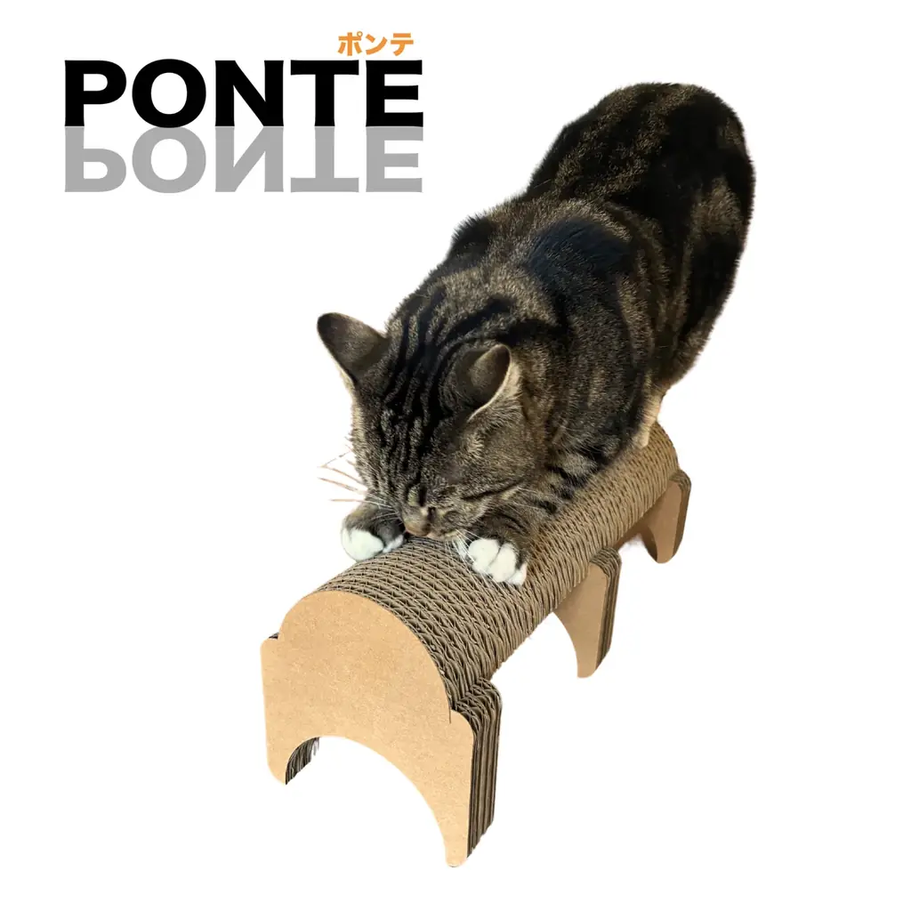 超強化段ボール製で研ぎカスが出にくい！猫も大満足の爪とぎ「PONTE」がもう1個もらえる！　～カリカリーナ 世界猫の日キャンペーン開催～ 画像 2