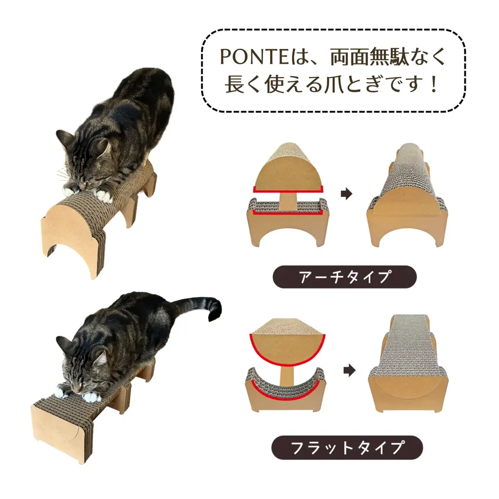 超強化段ボール製で研ぎカスが出にくい！猫も大満足の爪とぎ「PONTE」がもう1個もらえる！　～カリカリーナ 世界猫の日キャンペーン開催～ 画像 3