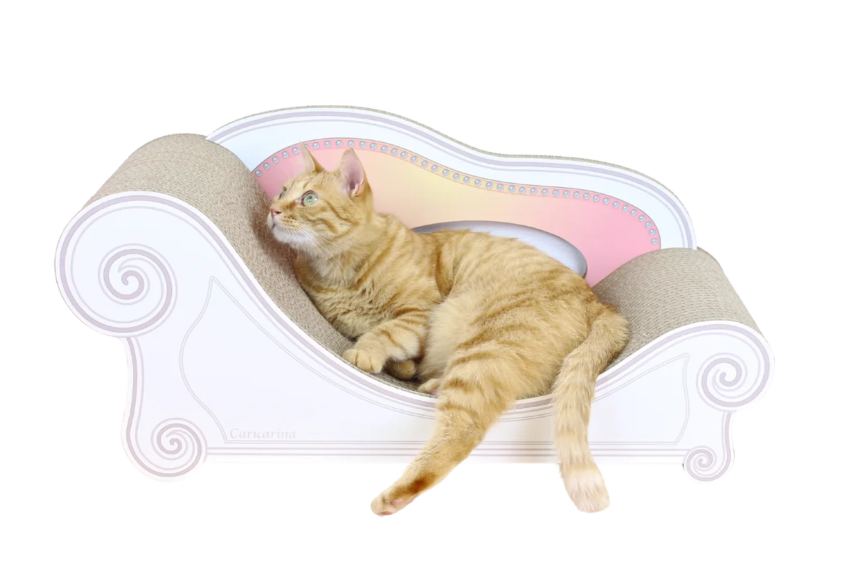 超強化段ボール製で研ぎカスが出にくい！猫も大満足の爪とぎ「PONTE」がもう1個もらえる！　～カリカリーナ 世界猫の日キャンペーン開催～ 画像 5