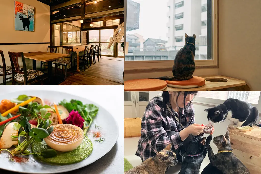 来場が保護ねこ支援に繋がる ー 古民家で癒しとアートの作品展　【あべの 猫ごよみ展】第2弾 開催決定！今回の作家はMaya Nogamiさん！ 画像 3