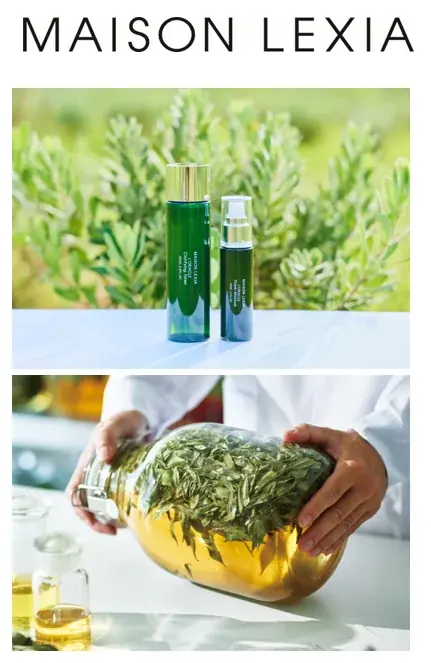 好評発売中の〈乳酸菌*¹シャンプー＆ヘアトリートメント〉１年分*²を贈呈／メゾンレクシア「真のアンバサダー」キャンペーン 画像 5