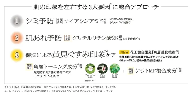 皮膚科学の【SOFINA iP】が渾身開発した【薬用】角層トーニングセラム、2025年10月18日（土）誕生。 画像 2