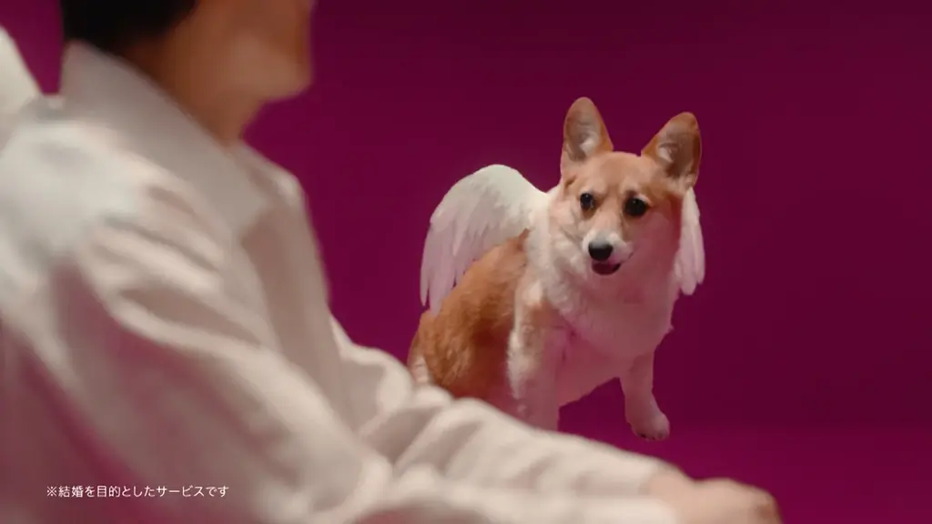 IMS認証取得の安心・安全なマッチングアプリ「with」の新CMに草彅 剛さんが登場幅広い世代から厚い信頼を獲得する草彅さんが、「with」の信頼ある出会いの世界観を表現 画像 10