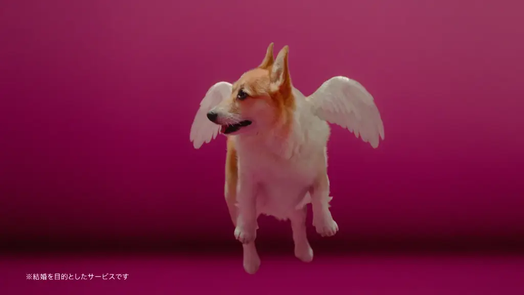 IMS認証取得の安心・安全なマッチングアプリ「with」の新CMに草彅 剛さんが登場幅広い世代から厚い信頼を獲得する草彅さんが、「with」の信頼ある出会いの世界観を表現 画像 3