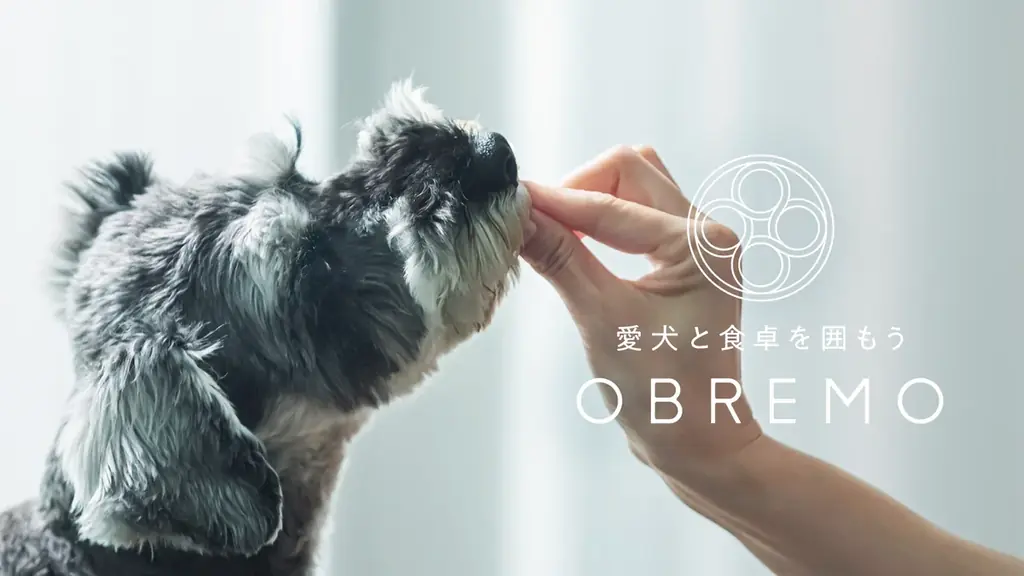 OBREMO、販売開始4周年を目前に累計販売食数900万食を突破！4周年記念キャンペーンを8月5日より開始！ 画像 3