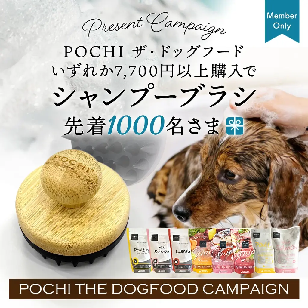 2025年8月5日開始！POCHIドッグフード購入で竹製シャンプーブラシプレゼント