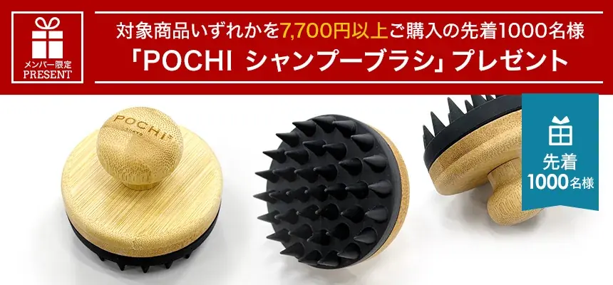 《POCHI》持ち手が竹製の「シャンプーブラシ」を先着1,000名様にプレゼント 画像 2
