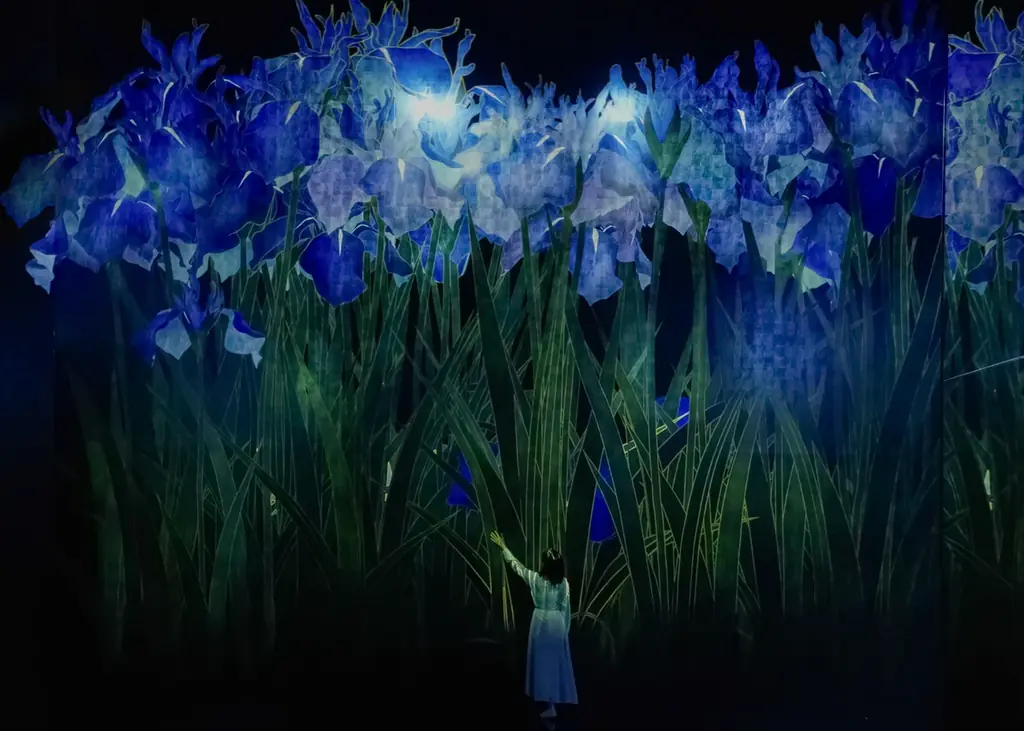 チームラボ バイオヴォルテックス 京都、10月7日(火)オープン。日本未発表作品を含む7作品を公開。チケット販売開始 画像 3