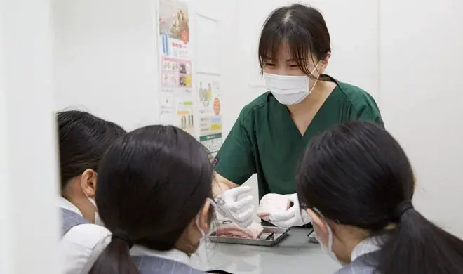 2025年7月開催：中学生が新宿御苑前どうぶつ病院で獣医療体験
