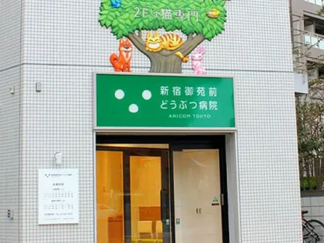 アニコムグループの「新宿御苑前どうぶつ病院」で職場体験を実施 画像 11