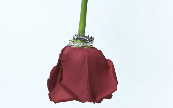 高尾颯斗初プロデュースブランド“THORIEL(ソリエル)”誕生!秋・冬シーズンに大活躍のアクセサリーコレクションを発表 画像 6