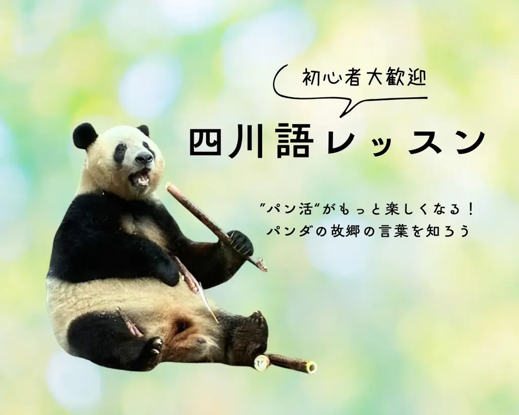 『韓国生まれのおてんば姫 熊猫フーバオ』出版記念イベント！かわいいパンダ大集結の大好評「大パンダ展」を開催！ 画像 6