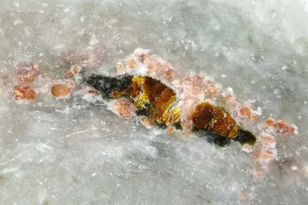 アマテラス石発見