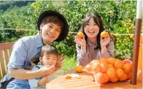 【和歌山有田】“#みかんな暮らし”をシェアしよう!伊藤農園がSNS投稿プレゼントキャンペーンを開催中! 画像 2