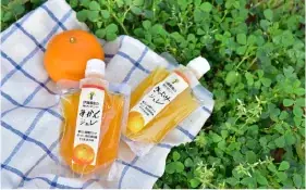 【和歌山有田】“#みかんな暮らし”をシェアしよう！伊藤農園がSNS投稿プレゼントキャンペーンを開催中！ 画像 7