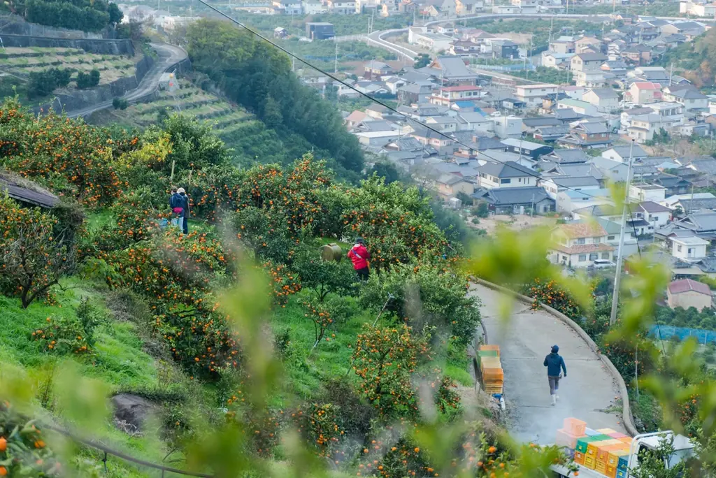 【和歌山有田】“#みかんな暮らし”をシェアしよう！伊藤農園がSNS投稿プレゼントキャンペーンを開催中！ 画像 9