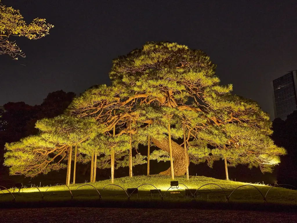 東京ドームシティ×小石川後楽園コラボ 都心の名園で感じる日本の秋、心温まる夜を『夜間特別開園 秋の夜長の小石川後楽園2025』開催決定! 画像 2