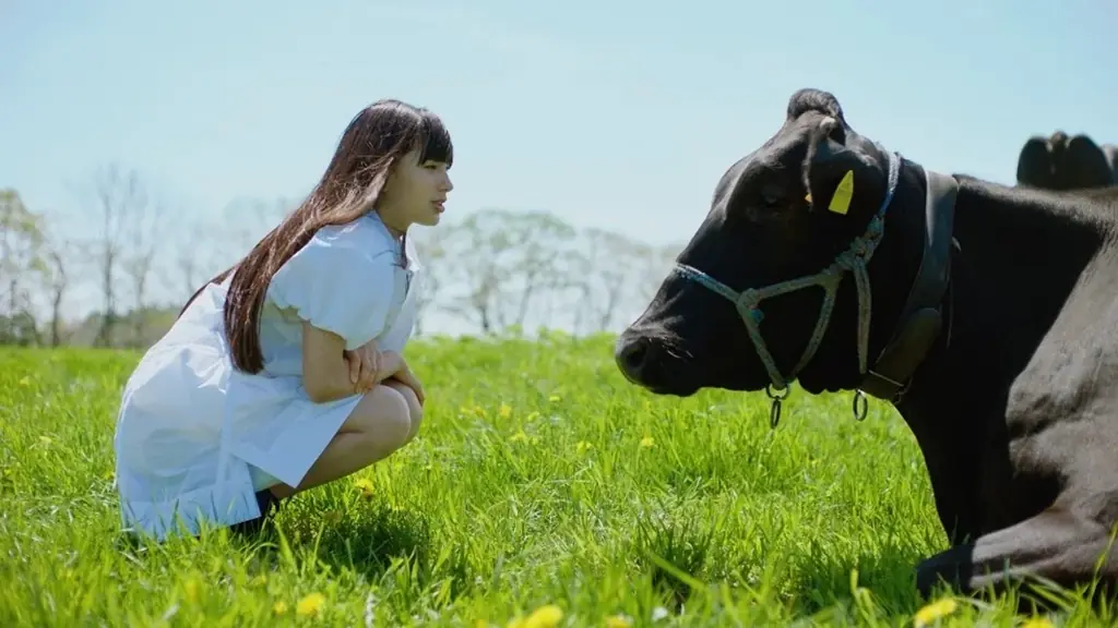 ハーゲンダッツの日動画公開