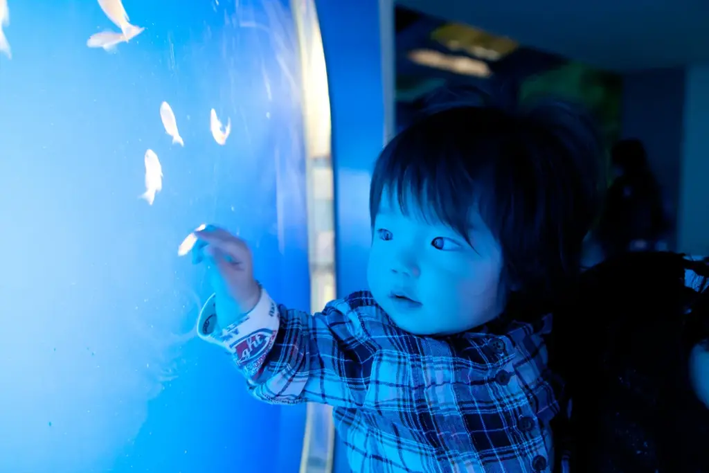 発表!赤ちゃん(0歳~2歳)と猛暑の「夏におでかけしてよかったスポットランキング」2025 2位「水族館」1位は?/いこーよファミリーラボ夏のおでかけ調査② 画像 5