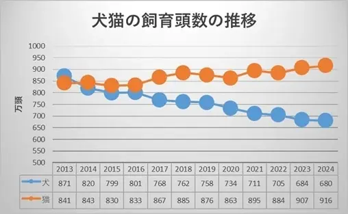 【空室対策に”猫”という選択肢】空き家を収益化する「ネコ多頭飼育対応型」管理プランを熊本で提供開始 画像 2