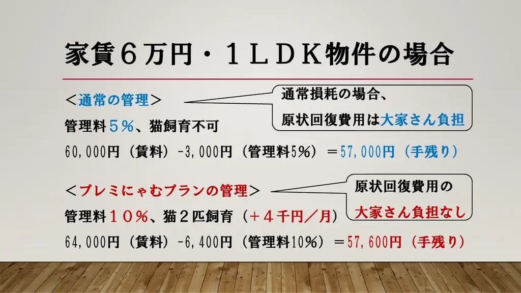 【空室対策に”猫”という選択肢】空き家を収益化する「ネコ多頭飼育対応型」管理プランを熊本で提供開始 画像 5