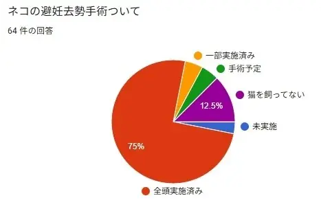 【空室対策に”猫”という選択肢】空き家を収益化する「ネコ多頭飼育対応型」管理プランを熊本で提供開始 画像 7