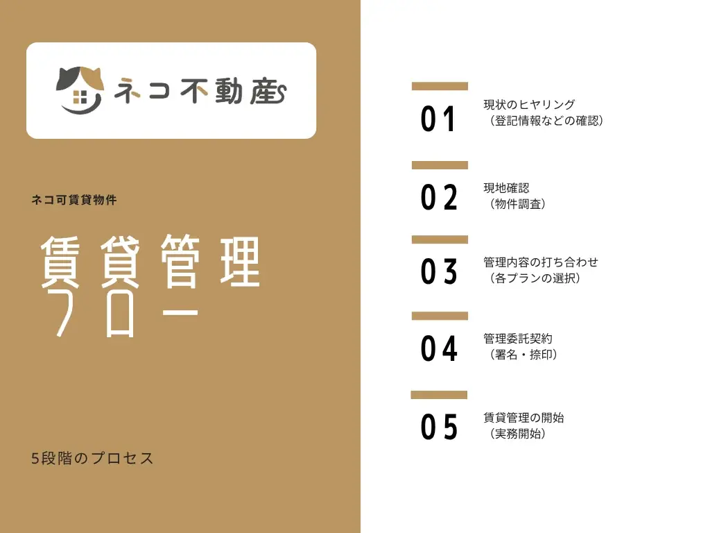 【空室対策に”猫”という選択肢】空き家を収益化する「ネコ多頭飼育対応型」管理プランを熊本で提供開始 画像 8