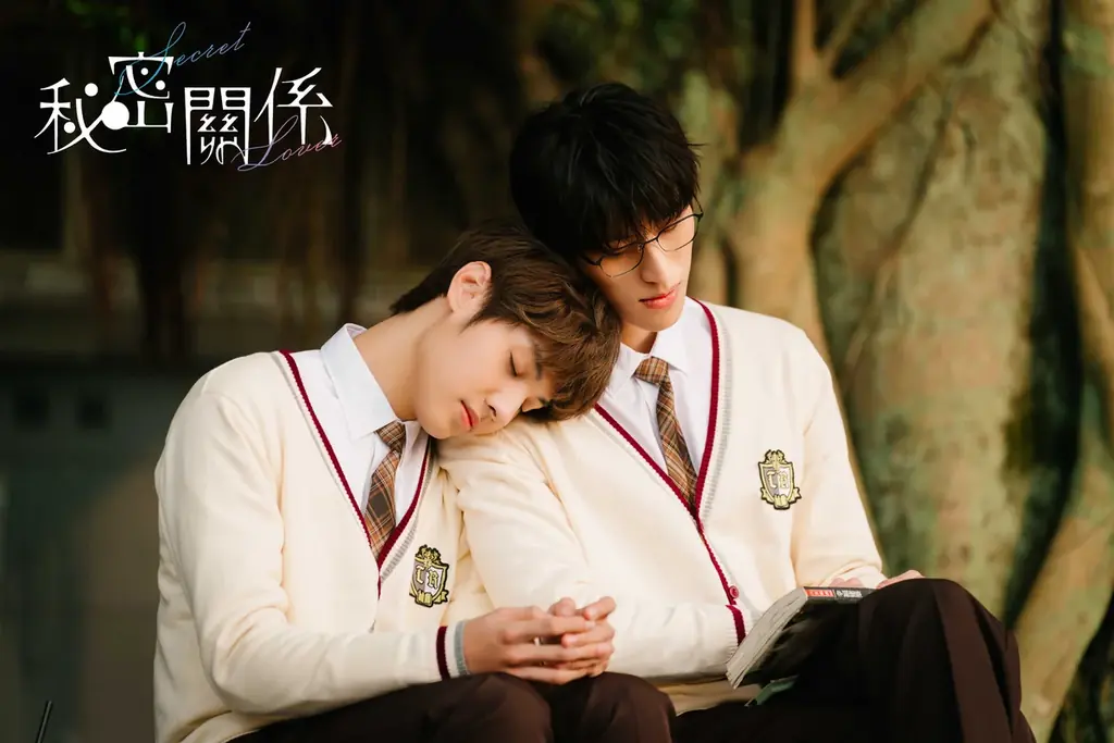 秘密關係日本配信開始